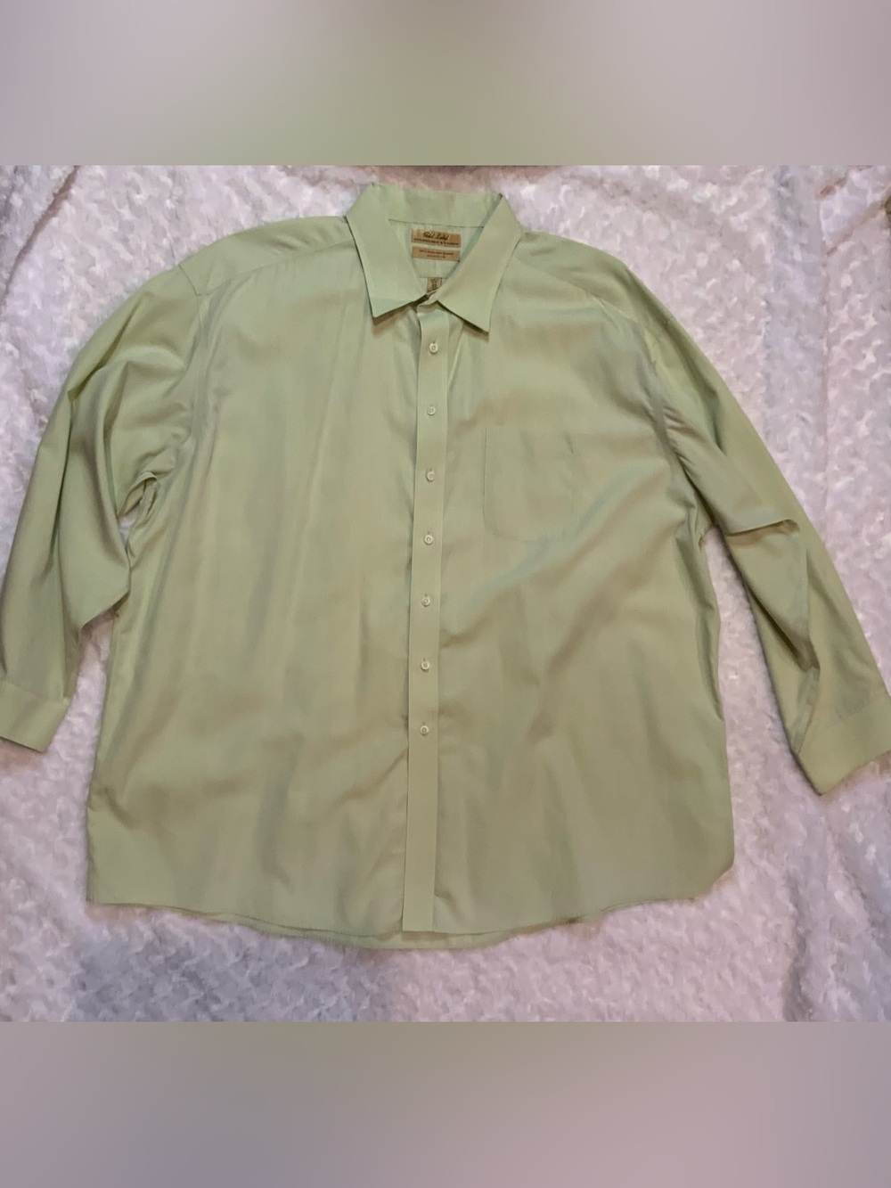 Roundtree & Yorke Pale Green Long-Sleeve Button-Up Shirt